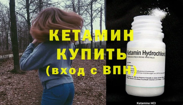 прущие грибы Новодвинск