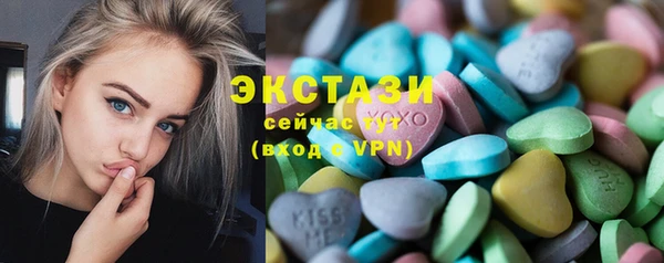 индика Няндома