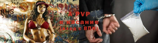 индика Няндома