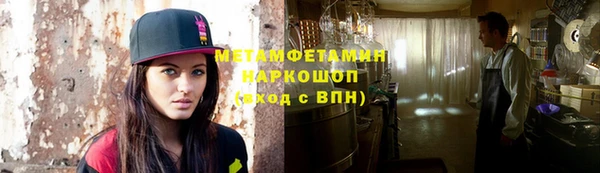 прущие грибы Новодвинск