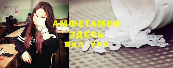 индика Няндома