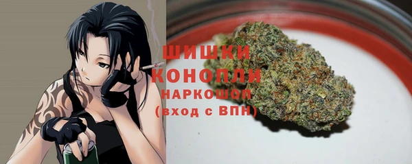прущие грибы Новодвинск