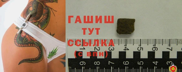 прущие грибы Новодвинск