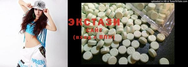 индика Няндома