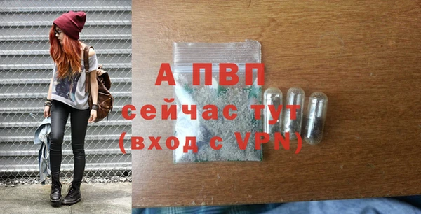 2c-b Иннополис