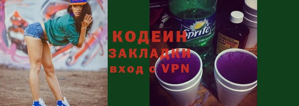 индика Няндома