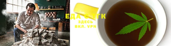 индика Няндома