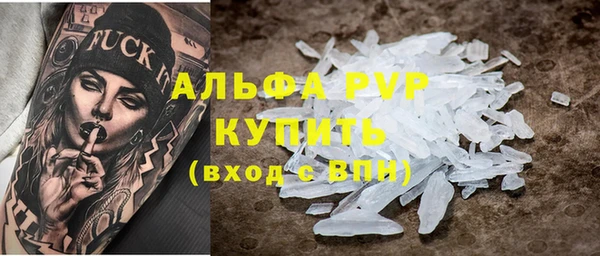 индика Няндома