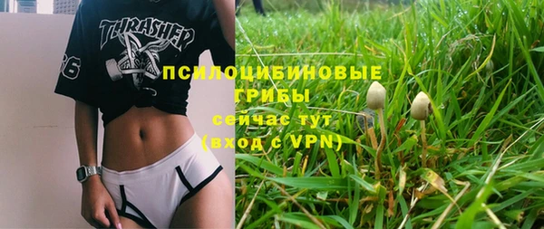 круглые Новозыбков