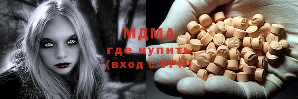прущие грибы Новодвинск