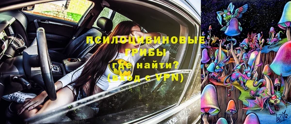 круглые Новозыбков