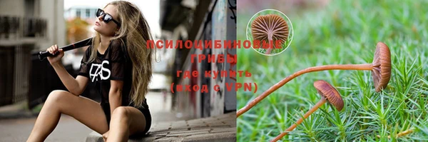 индика Няндома